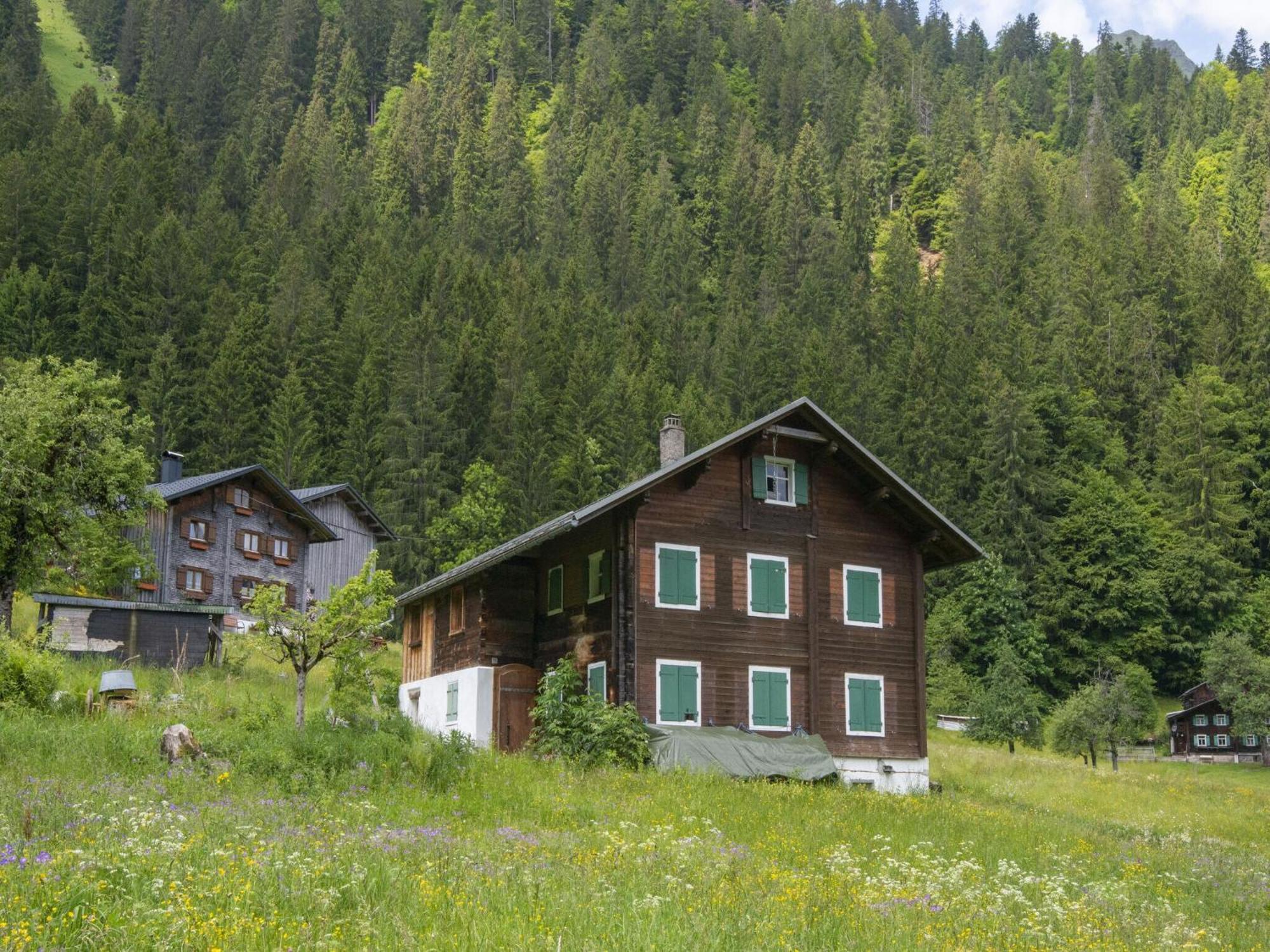 Holiday Home Near Ski Resort In St Gallenkirch Sankt Gallenkirch Eksteriør billede