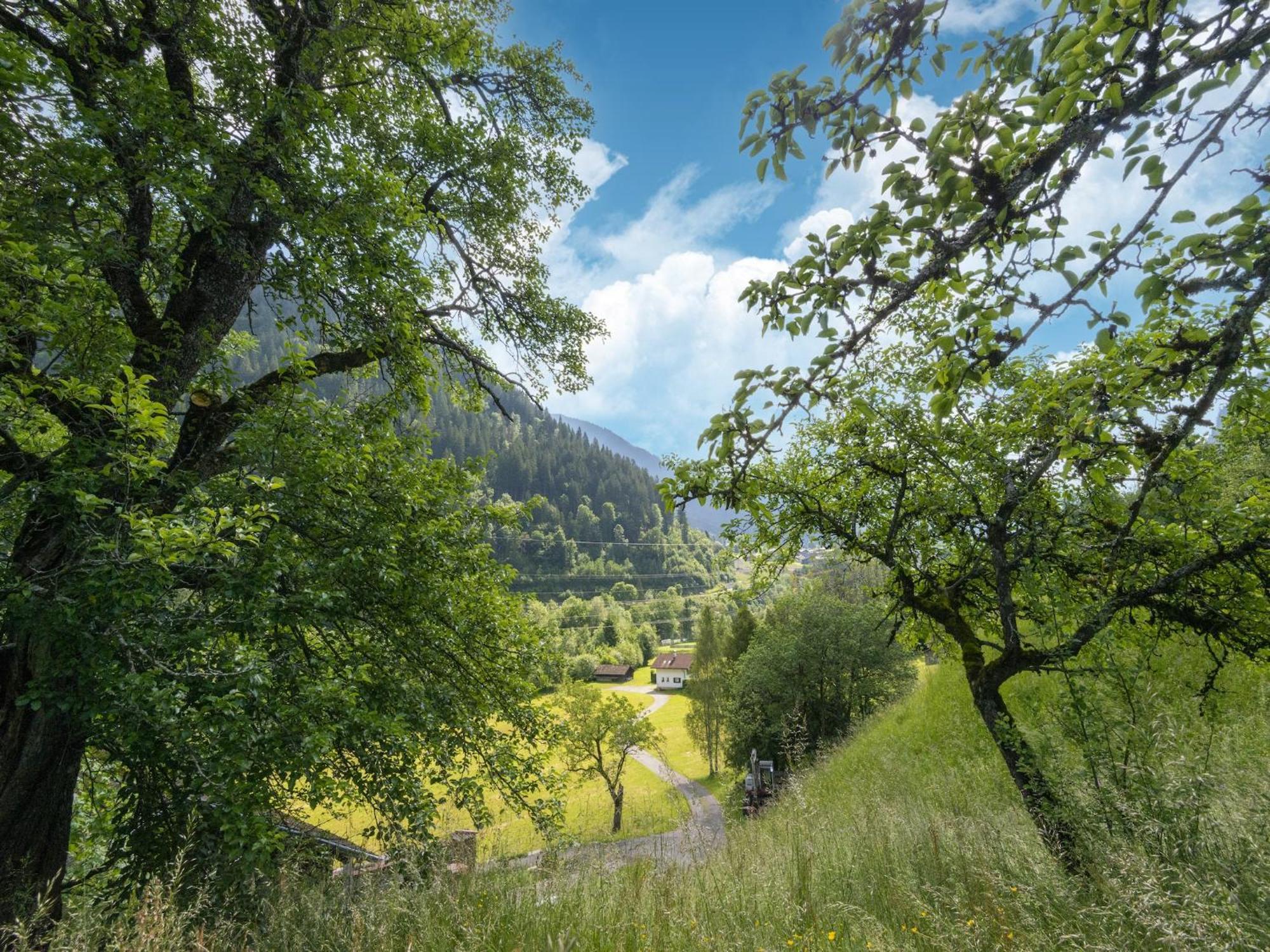 Holiday Home Near Ski Resort In St Gallenkirch Sankt Gallenkirch Eksteriør billede